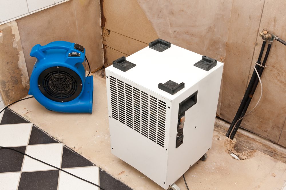 Drying equipment set up after water removal